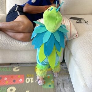 Pottery Barn Parrot Costume 12-2T approximately.